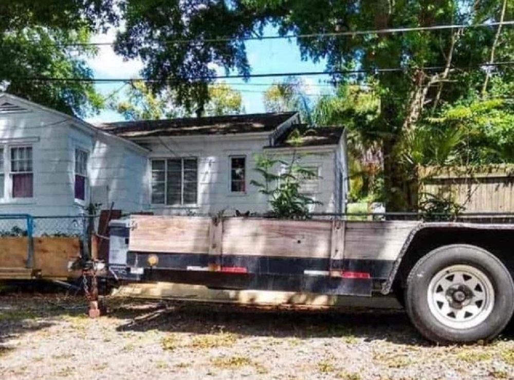 Οπτική ψευδαίσθηση: Μόνο αν έχεις υψηλό IQ μπορείς να εντοπίσεις την γάτα σε 9 δευτερόλεπτα