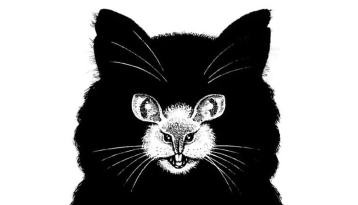 Τεστ προσωπικότητας οπτική ψευδαίσθηση γάτα ποντίκι