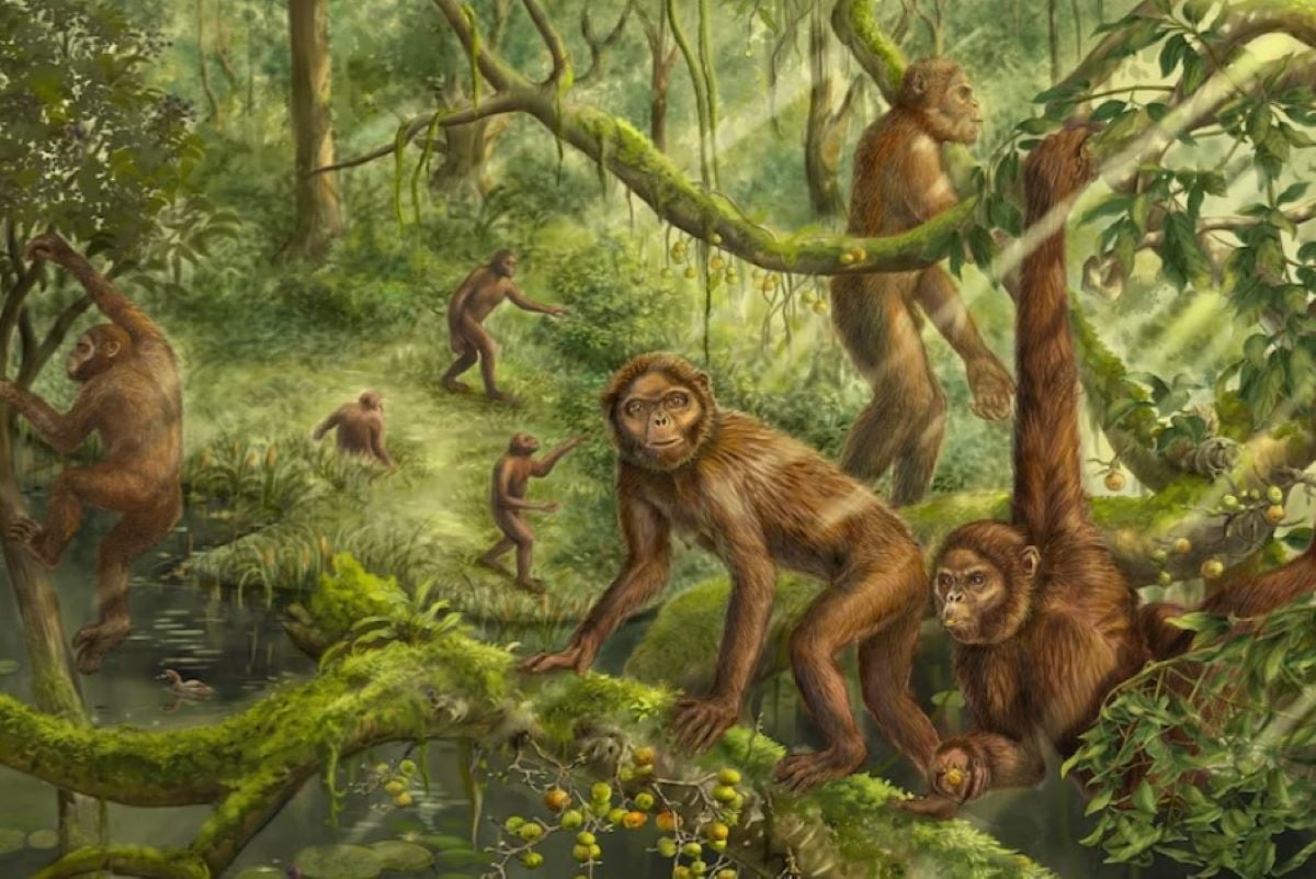 A 6-million-year-old monkey fossil reveals why humans walk upright