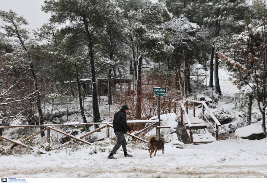 Κακοκαιρία «Avgi»: Νέο έκτακτο δελτίο της ΕΜΥ – Πού θα χιονίσει τις επόμενες ώρες
