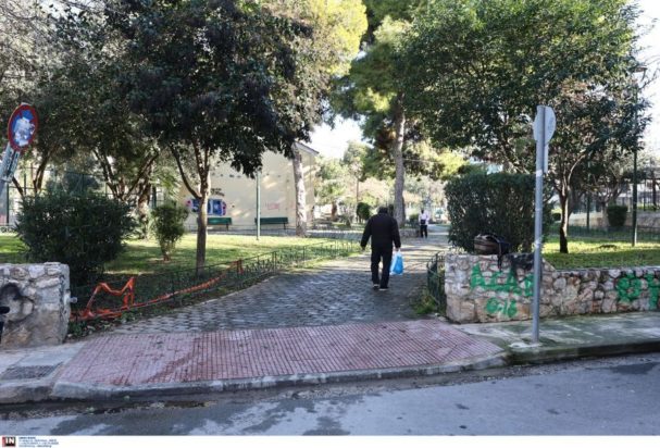 Βοτανικός πυροβολισμοί