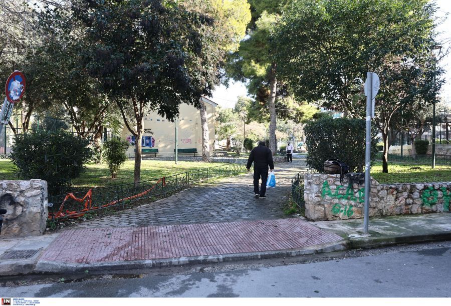 Βοτανικός πυροβολισμοί