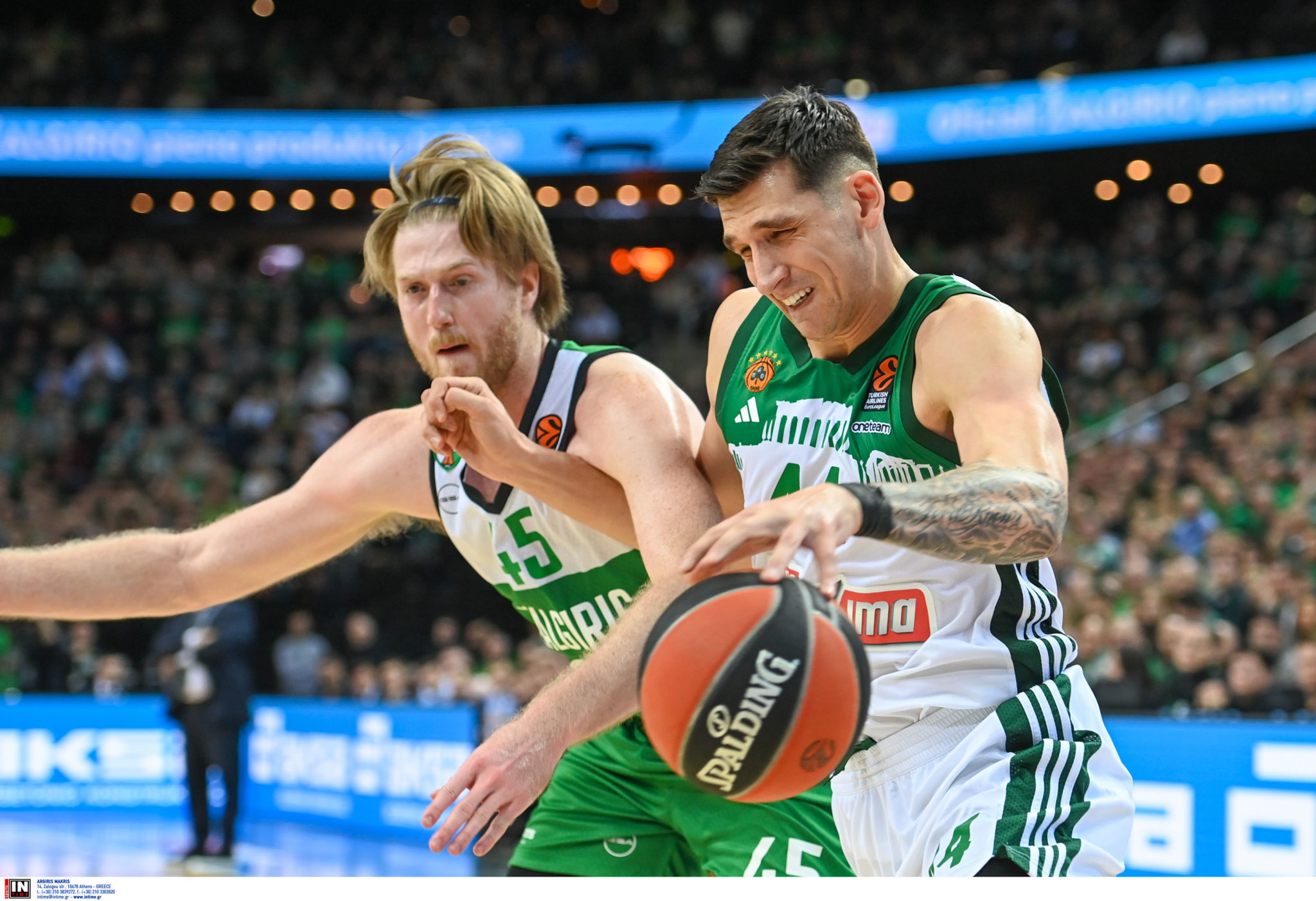 Ζαλγκίρις - Παναθηναϊκός