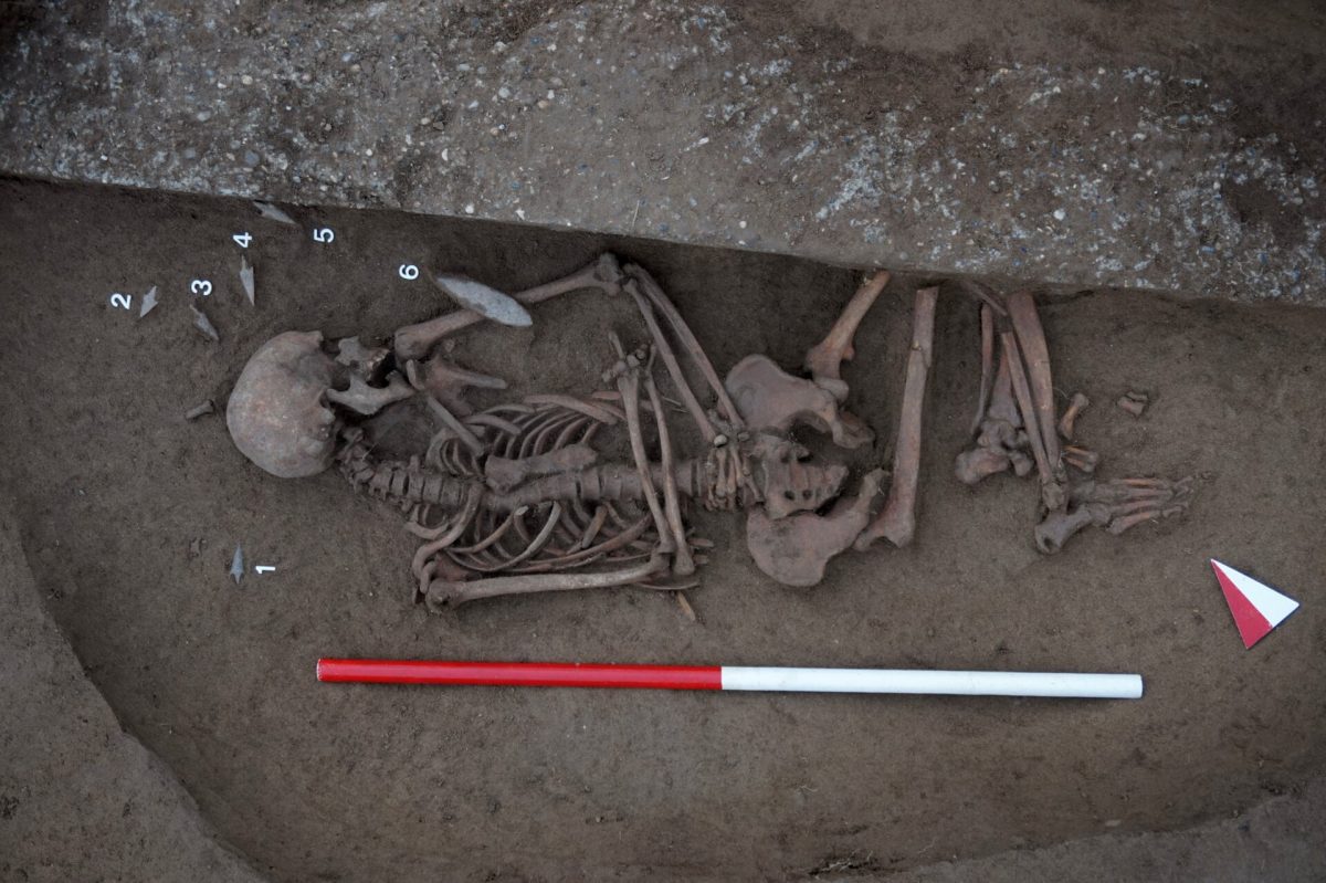 Τάφος στην νεκρόπολη της Εποχής του Χαλκού. Διακρίνεται ολόκληρος σκελετός και τουλάχιστον μια λεπίδα.