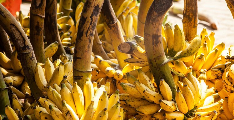 Οπτική ψευδαίσθηση