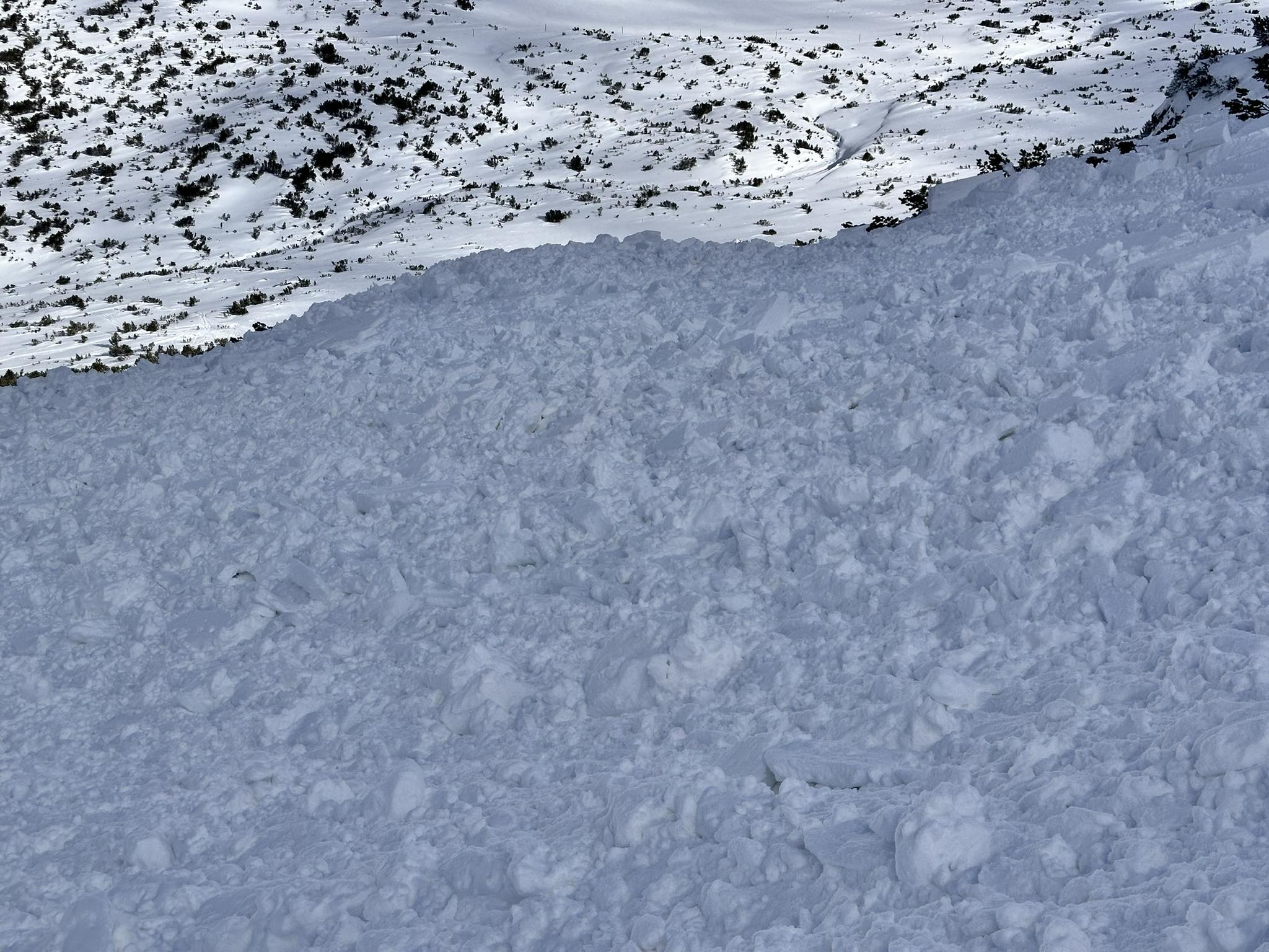 Βουλγαρία Έλληνας Σκιέρ