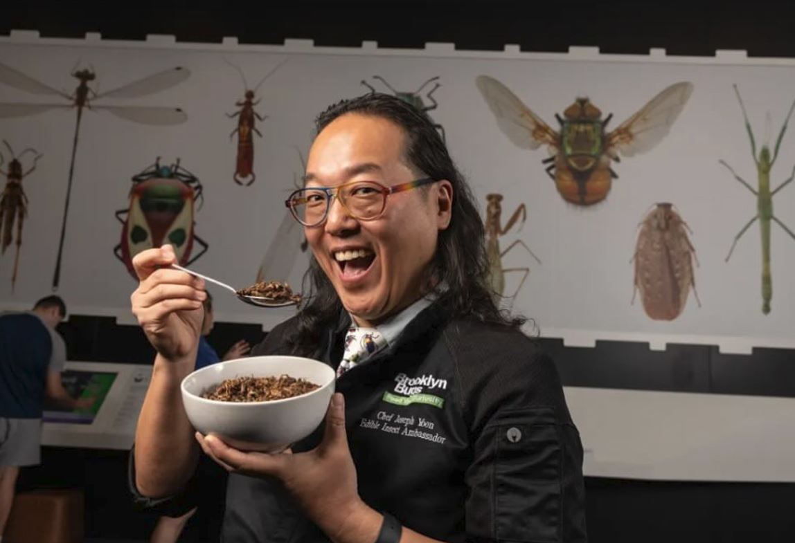 Joseph Yoon: Γνωρίστε τον σεφ που έχει κάνει την εντομοφαγία επιστήμη και προσπαθεί να μας πείσει να βάλουμε τους... γρύλους στο πιάτο μας