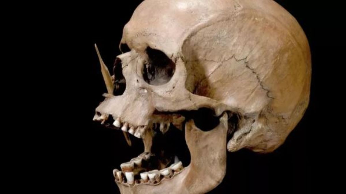Το τρυπημένο κρανίο του "σώματος βάλτου" του ανθρώπου Porsmose, από τηn νεολιθική Δανία, δείχνει ότι σκοτώθηκε με δύο βέλη κατασκευασμένα από οστά. Μόλις έφτασαν αγρότες στη Δανία πριν από περίπου 5.900 χρόνια, οι κυνηγοί-τροφοσυλλέκτες της περιοχής εξαφανίστηκαν μέσα σε λίγες γενιές.