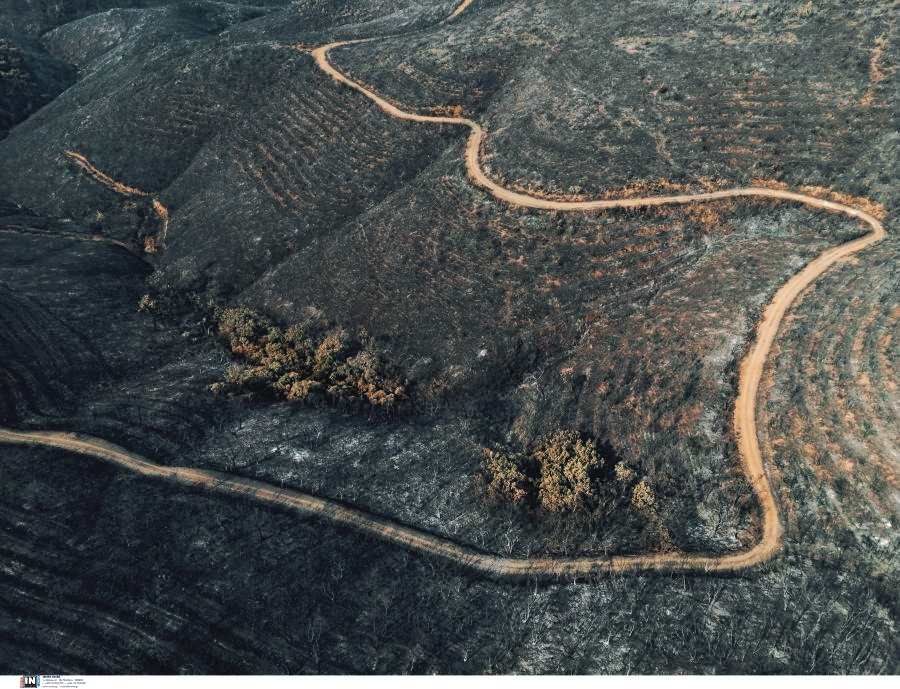 ΕΕ: Στην Αλεξανδρούπολη σημειώθηκε η μεγαλύτερη μεμονωμένη πυρκαγιά στην Ευρώπη από τη δεκαετία του 1980