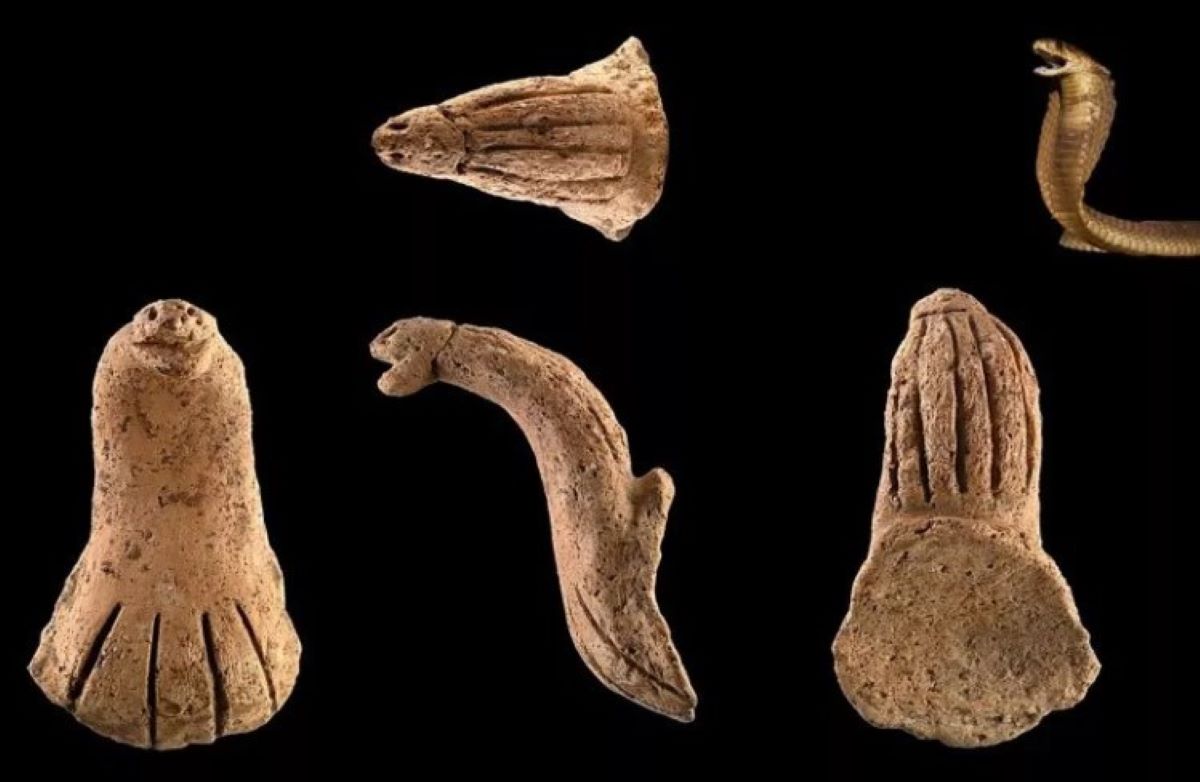 Το χειροποίητο αντικείμενο σε σχήμα φιδιού 4.000 ετών βρέθηκε στην περιοχή Guanyin της Ταϊβάν. Οι αρχαιολόγοι πιστεύουν ότι μπορεί να προήλθε από ένα αγγείο που χρησιμοποιούνταν σε αρχαίες τελετουργίες.