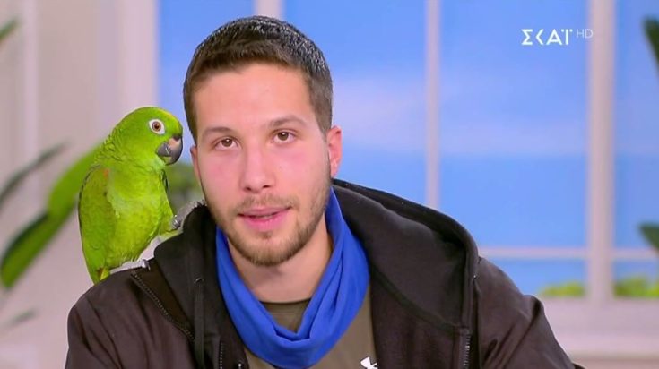 Άγγελος Γεωργουδάκης