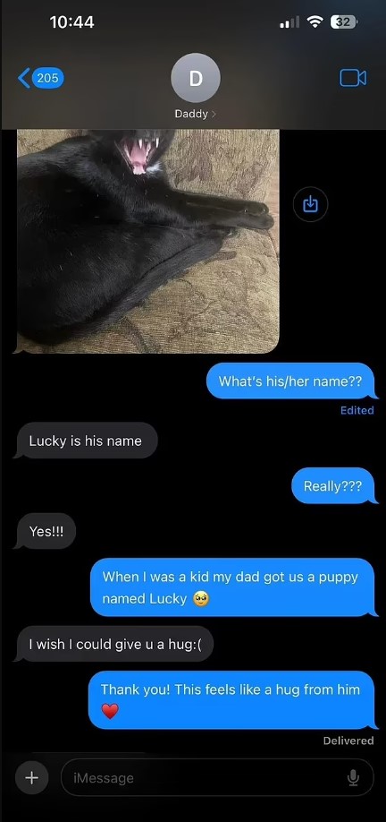  Ο άγνωστος της έστειλε την φωτογραφία της γάτας του για να της φτιάξει την διάθεση. 