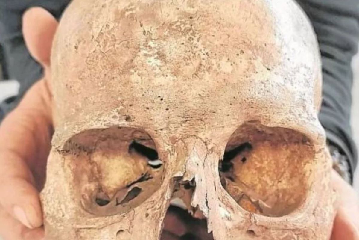 Ανθρώπινο κρανίο που βρέθηκε στην Cova dels Xaragalls στην Καταλονία.  Στοιχεία από το σπήλαιο υποδηλώνουν ότι χρησιμοποιήθηκε ως χώρος ταφής για περισσότερα από 4.000 χρόνια.