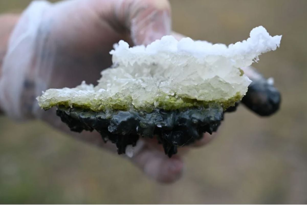 Haas shows a piece of crust from the lake during the dry season.  The sample was taken from Last Chance Lake in September 2022. The researchers used the lake as 