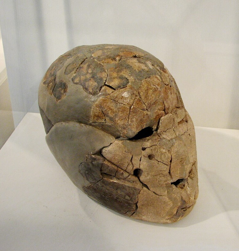 Σοβατισμένο κρανίο από το Beisamoun που βρίσκεται σε Μουσείο της Χάιφα. 