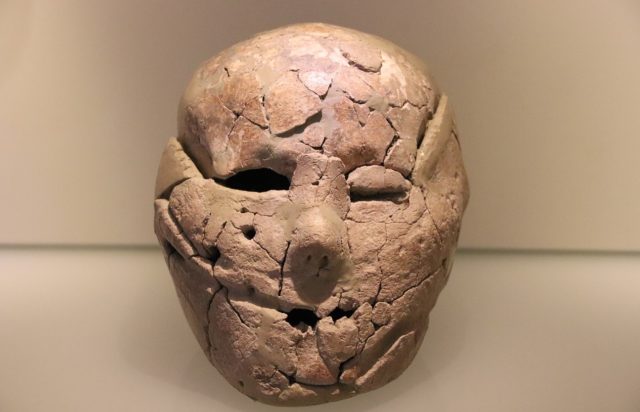 Ένα από τα σοβατισμένα κρανία που βρέθηκαν στην περιοχή και εκτίθεται στο Μουσείο του Ισραήλ στην Ιερουσαλήμ