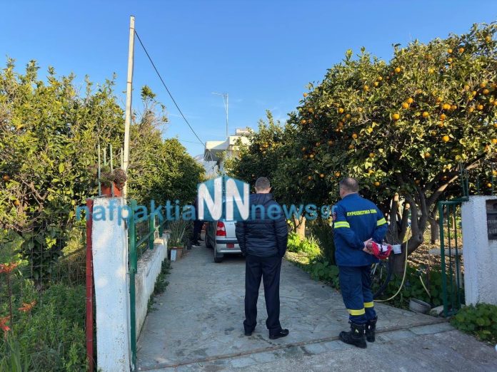 Ναύπακτος νεκροί