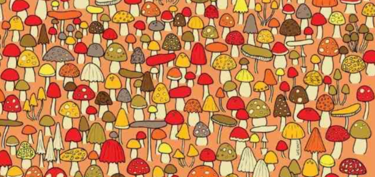 οπτική ψευδαίσθηση