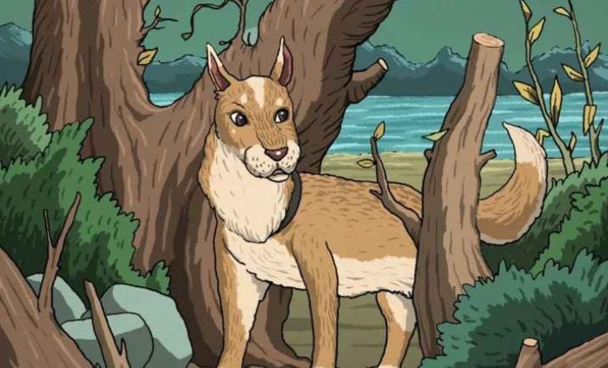 οπτική ψευδαίσθηση