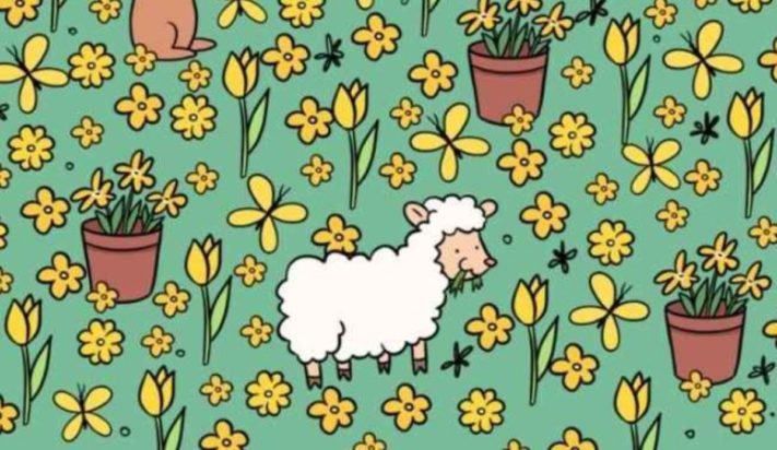 Οπτική ψευδαίσθηση