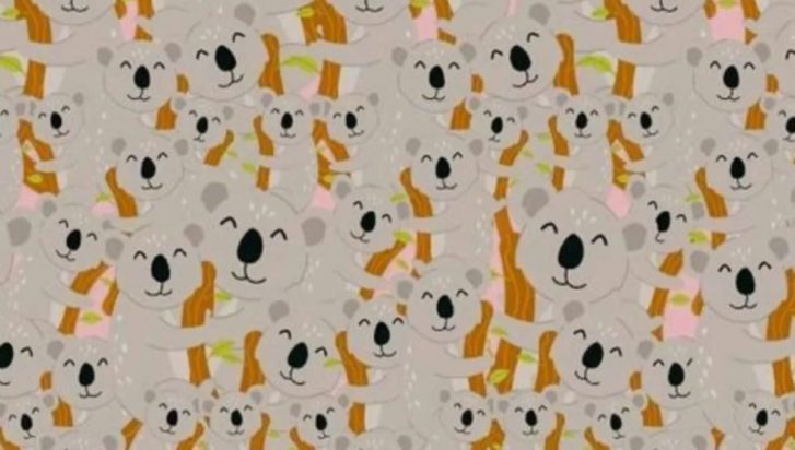 Οπτική ψευδαίσθηση