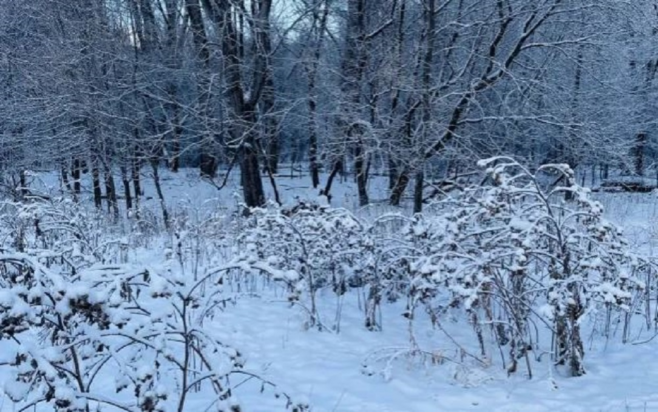 Οπτική ψευδαίσθηση: Μόνο αν είσαι ο Σέρλοκ Χολμς θα βρεις τον σκύλο σε 7 δευτερόλεπτα