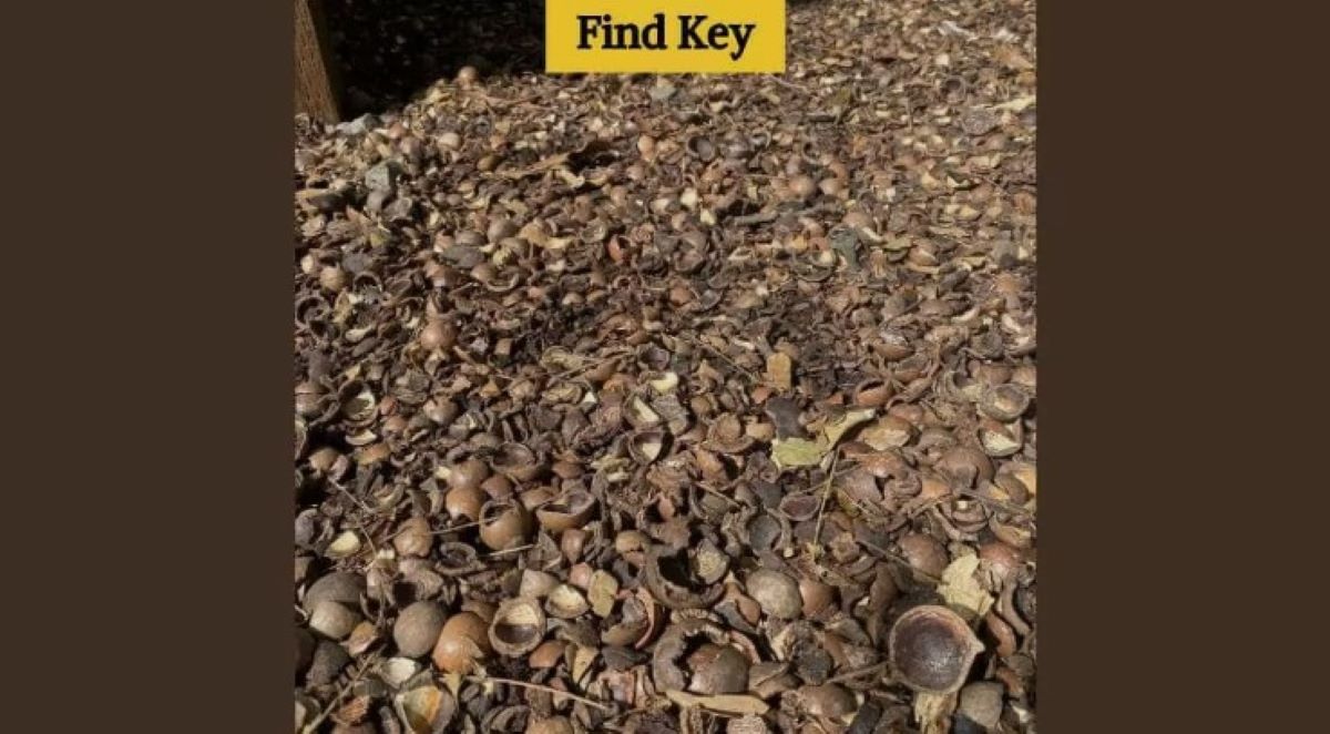 Οπτική ψευδαίσθηση