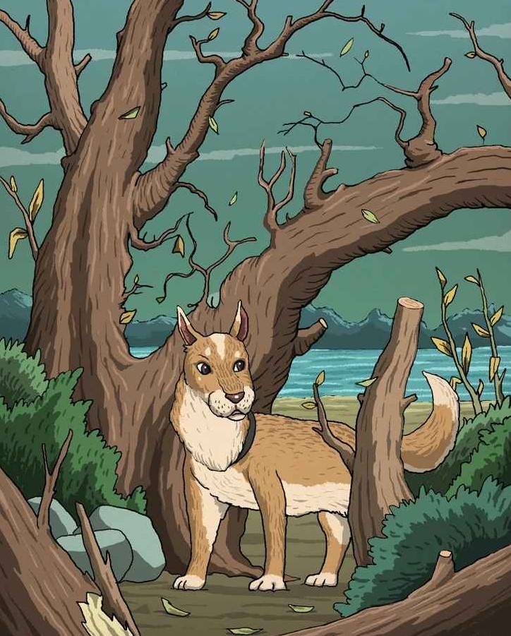 οπτική ψευδαίσθηση