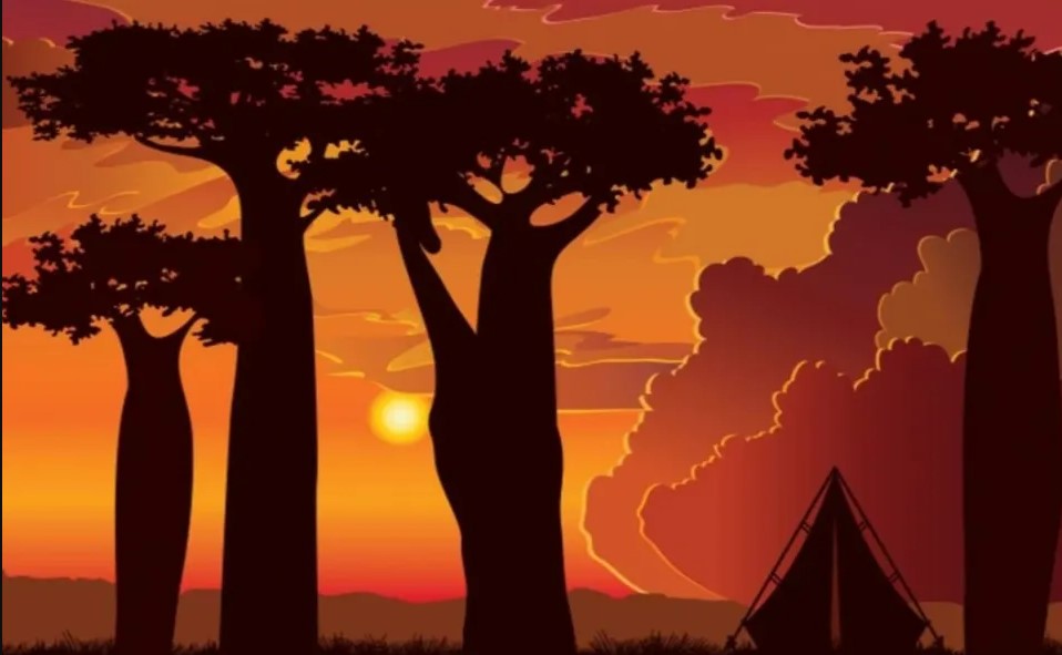 Οπτική ψευδαίσθηση