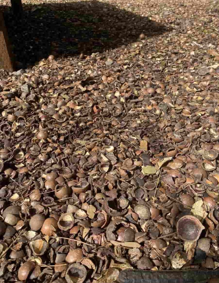 Οπτική ψευδαίσθηση