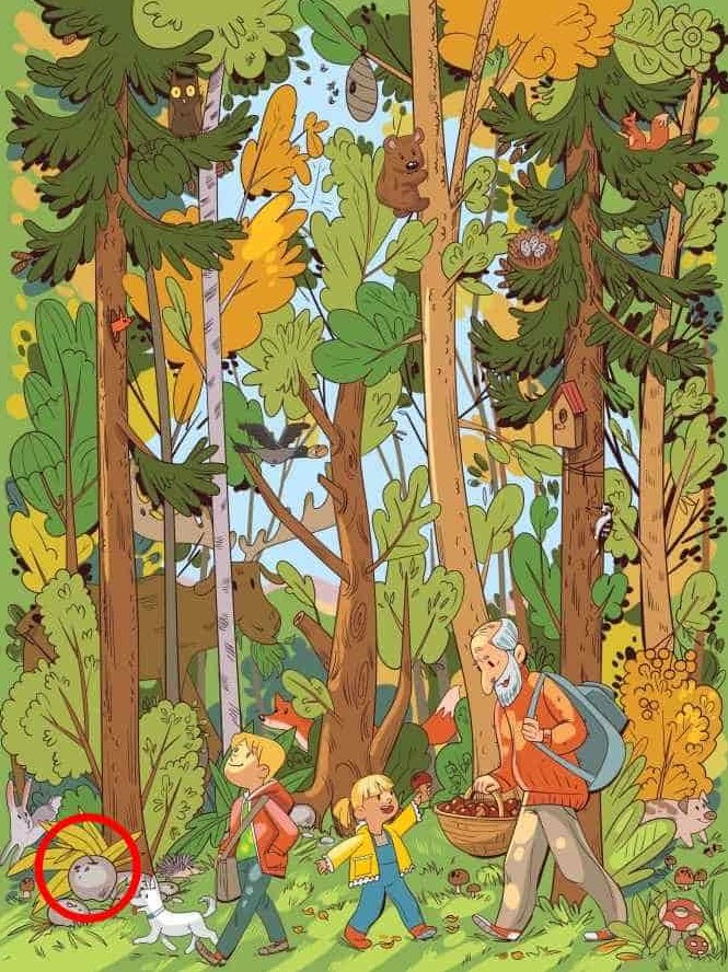 Οπτική ψευδαίσθηση