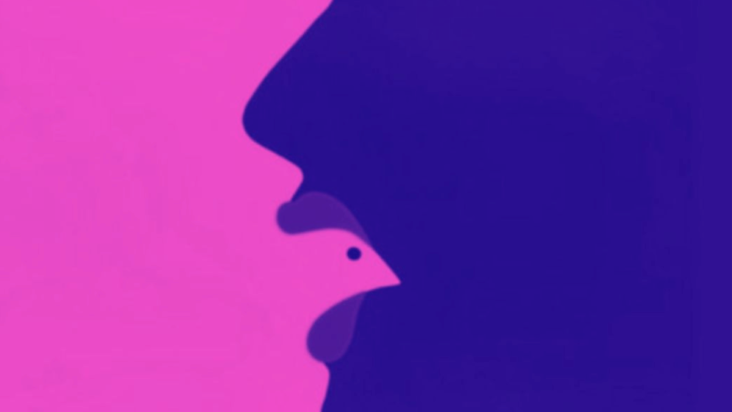 Τεστ προσωπικότητας, Οπτική ψευδαίσθηση, κόκορας, πρόσωπα