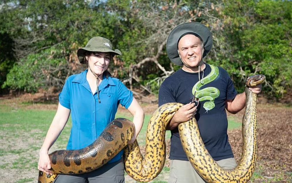 Ο καθηγητής Jesus Rivas (στη φωτογραφία δεξιά, κρατώντας ένα άλλο φίδι) είναι ο συγγραφέας της μελέτης που επιβεβαίωσε το νέο είδος.