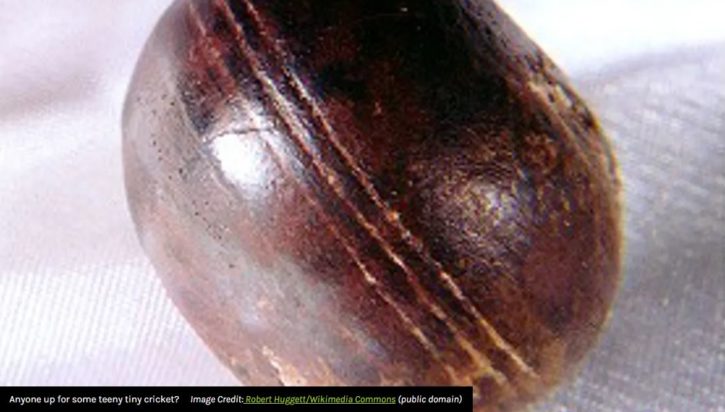 Μια από τις μυστηριώδεις σφαίρες που «κυλάνε μόνες τους».