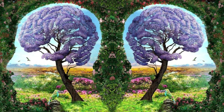 Τεστ προσωπικότητας: Αυτό που βλέπετε πρώτα αποκαλύπτει το πιο αγχωτικό πράγμα που κάνετε στις σχέσεις σας