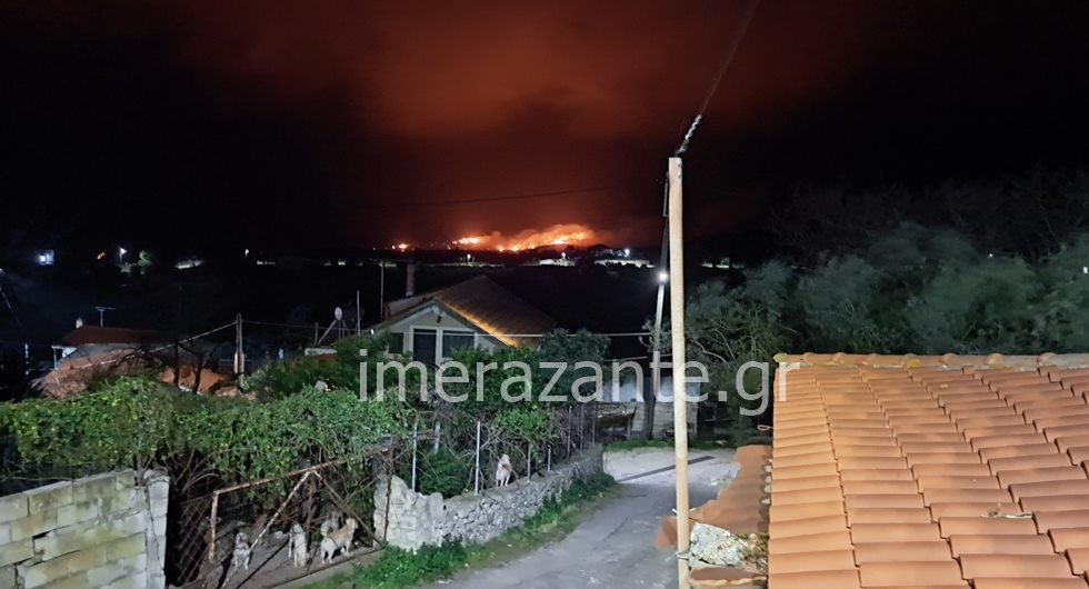 Ζάκυνθος: Υπό πλήρη έλεγχο η φωτιά στην περιοχή Εξωχώρα