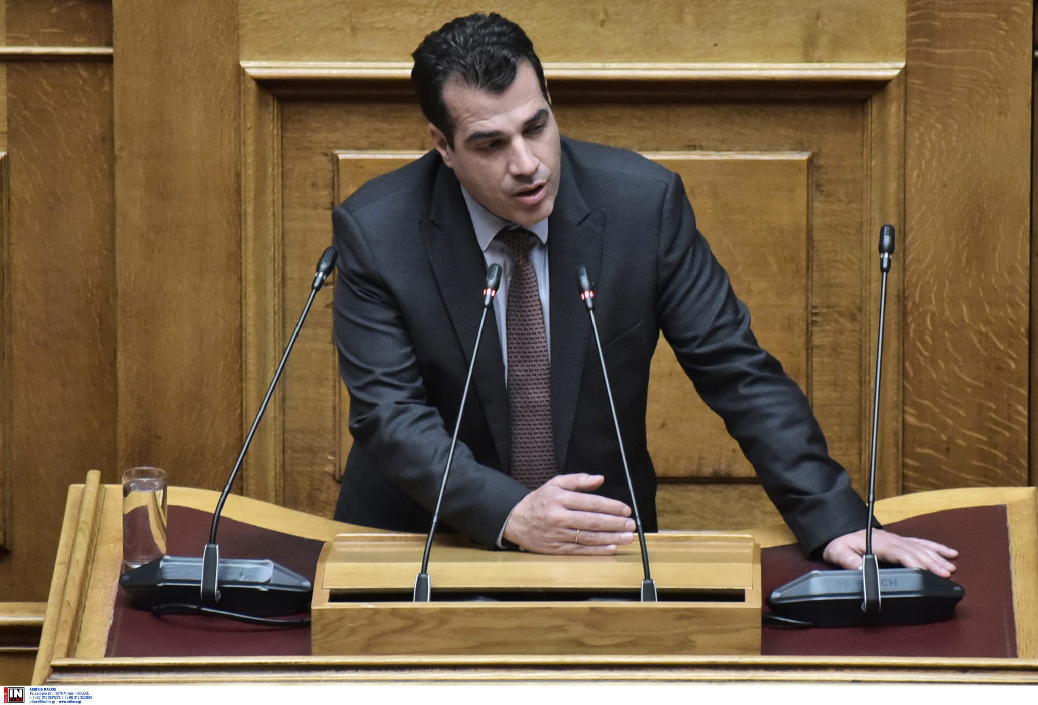 Θάνος Πλεύρης