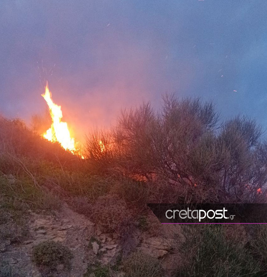 Κρήτη: Φωτιά στην Σητεία