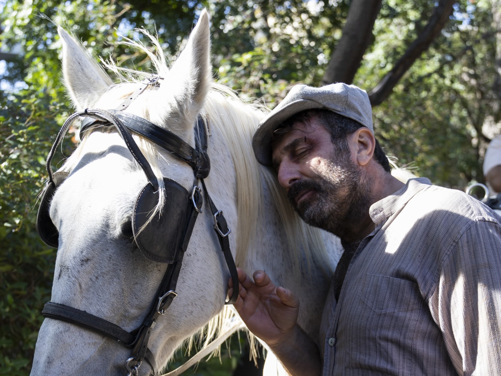 Το προξενιό της Ιουλίας – Ηλίας Βαλάσης: «Στο Προξενιό υπάρχουν συγκλονιστικές σκηνές»