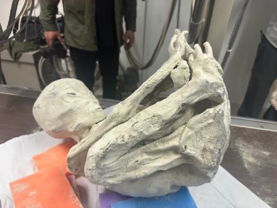 Μυστήριο με «εξωγήινες μούμιες» με 3 δάχτυλα - «Έχουν μοναδικό τύπο DNA, είναι σαν να έχεις βρει την Κιβωτό της Διαθήκης»