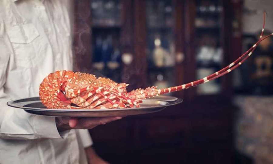 Αστακός - επεισόδιο Δήμος Ευρώτα