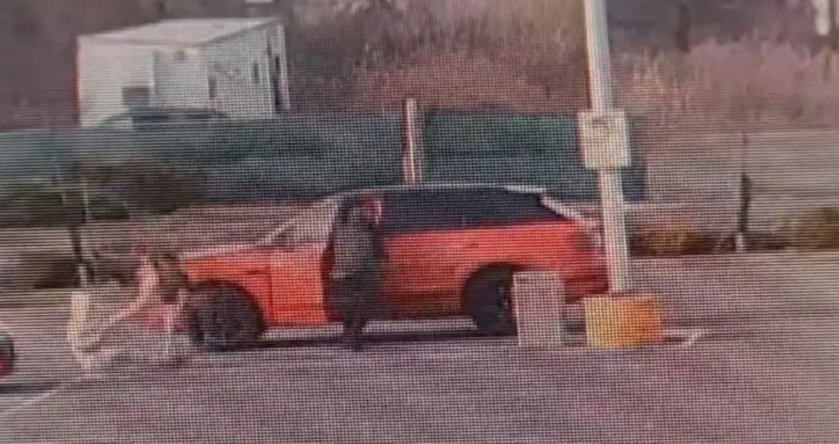 ΗΠΑ: Οδηγός τα έβαλε με ληστές για να «σώσει» το πανάκριβο αυτοκίνητο του – ΒΙΝΤΕΟ