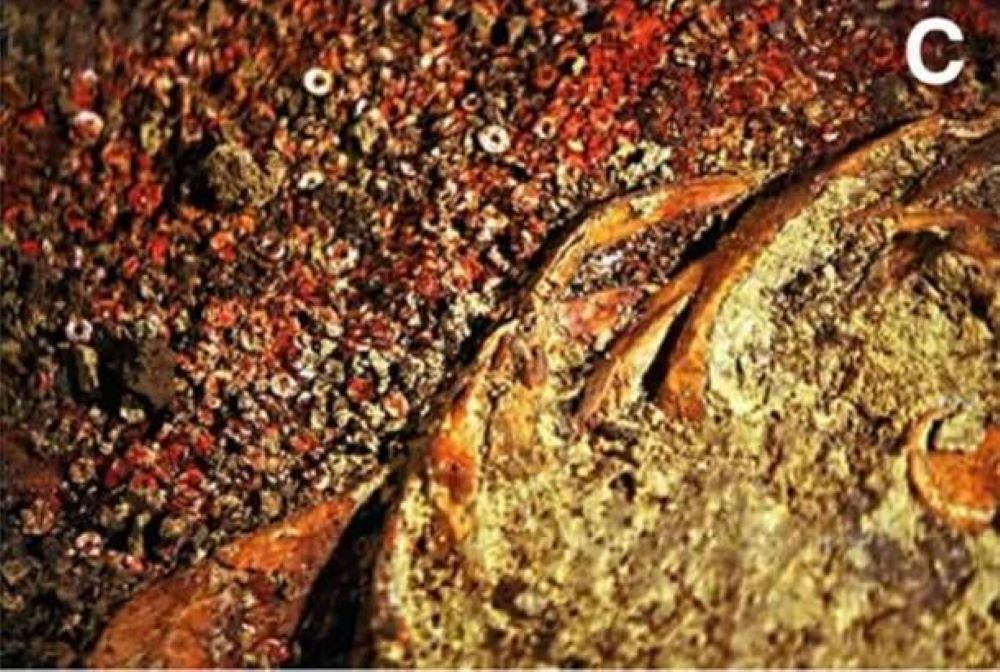 Σκόνη από κιννάβαρο σε ανθρώπινα οστά και χάντρες στη θέση Valencina.