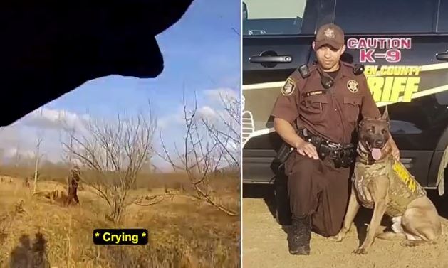 Βίντεο: Η συγκινητική στιγμή που αστυνομικό σκυλί εντοπίζει παιδί που χάθηκε στο Μίσιγκαν