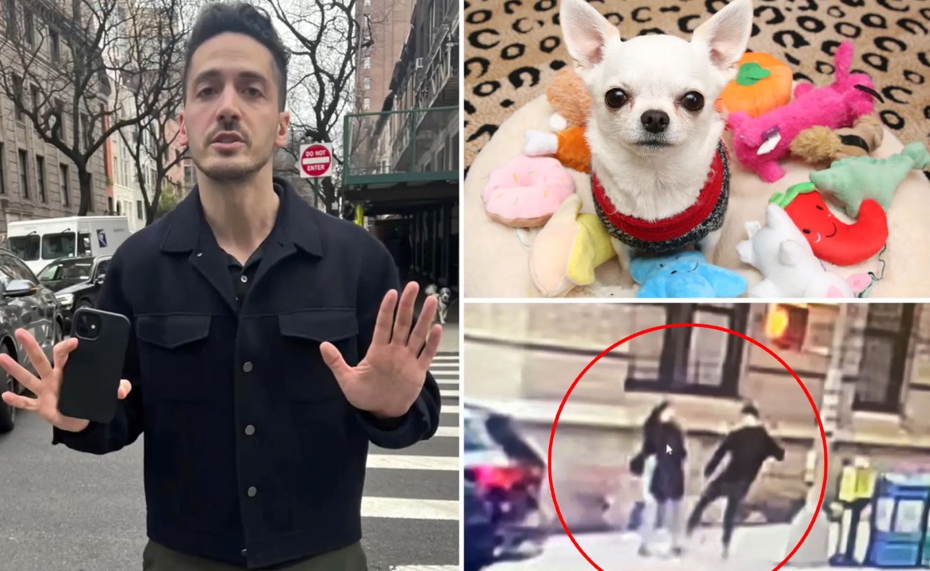 Βίντεο: Εργαζόμενος της Google κλωτσάει σκύλο