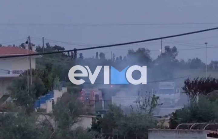 Φωτιά σε κατοικημένη περιοχή στην Εύβοια