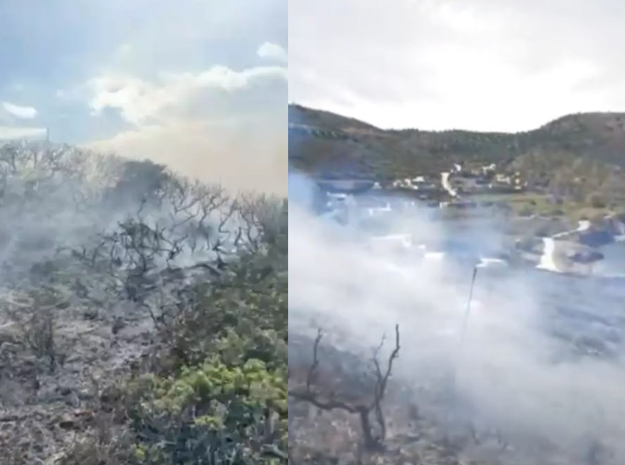 φωτιά Σητεία