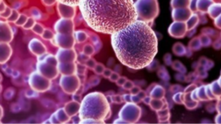 Φυματίωση: «Καμπανάκι» της Ελληνικής Πνευμονολογικής Εταιρείας – «Περισσότεροι από 10 εκατομμύρια άνθρωποι σε όλο τον κόσμο νοσούν» 