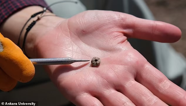 αρχαιολόγοι piercings