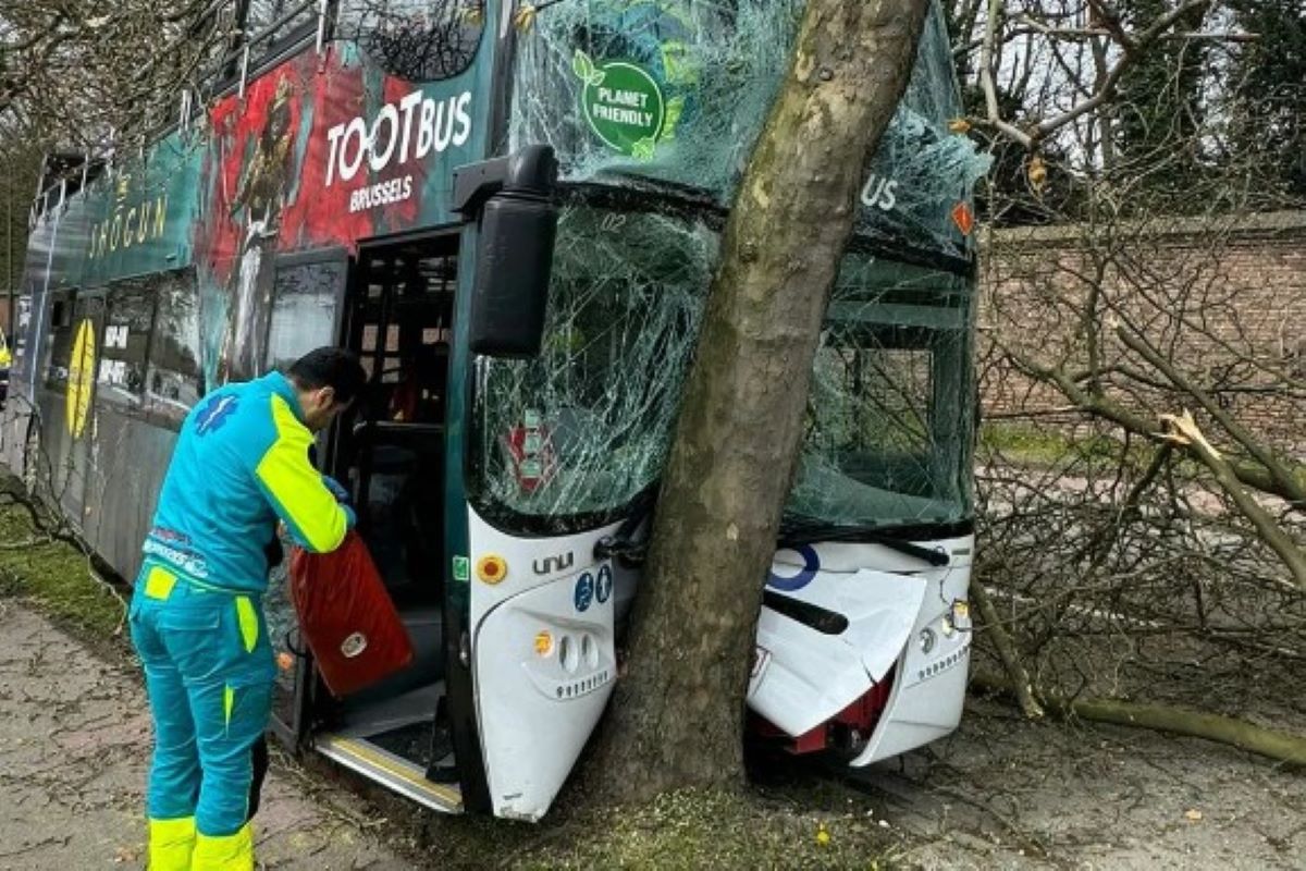 Το λεωφορείο ήταν διπλό και προσέκρουσε σε δέντρο.